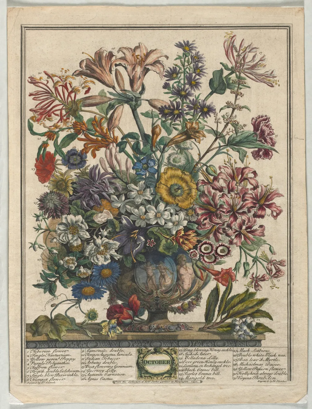 Twelve Months of Flowers: October, by Henry Fletcher, 1730