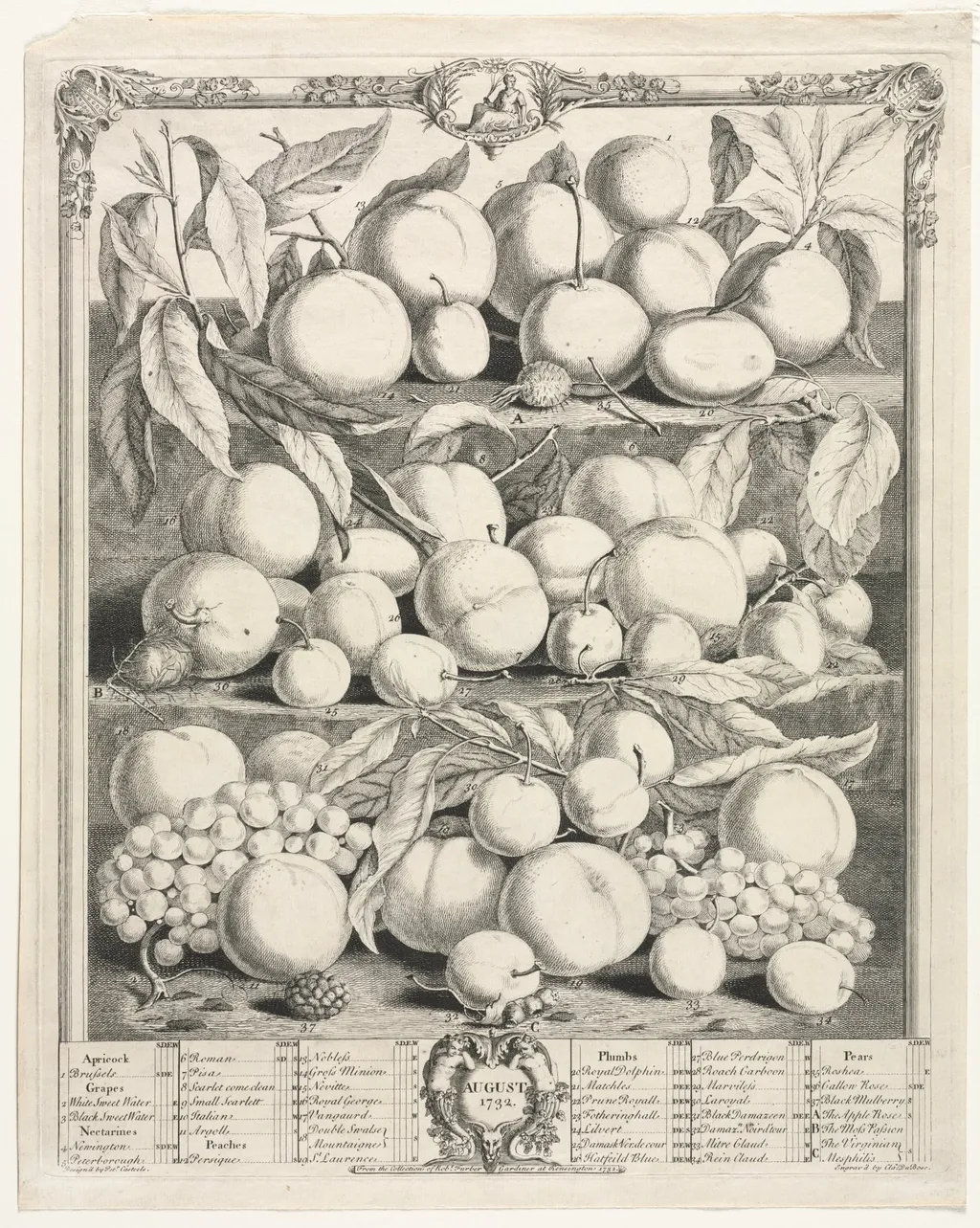 Twelve Months of Fruit: August, by Henry Fletcher, 1732