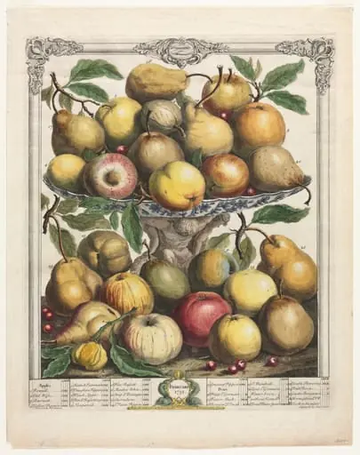 Twelve Months of Fruit: February, by Henry Fletcher