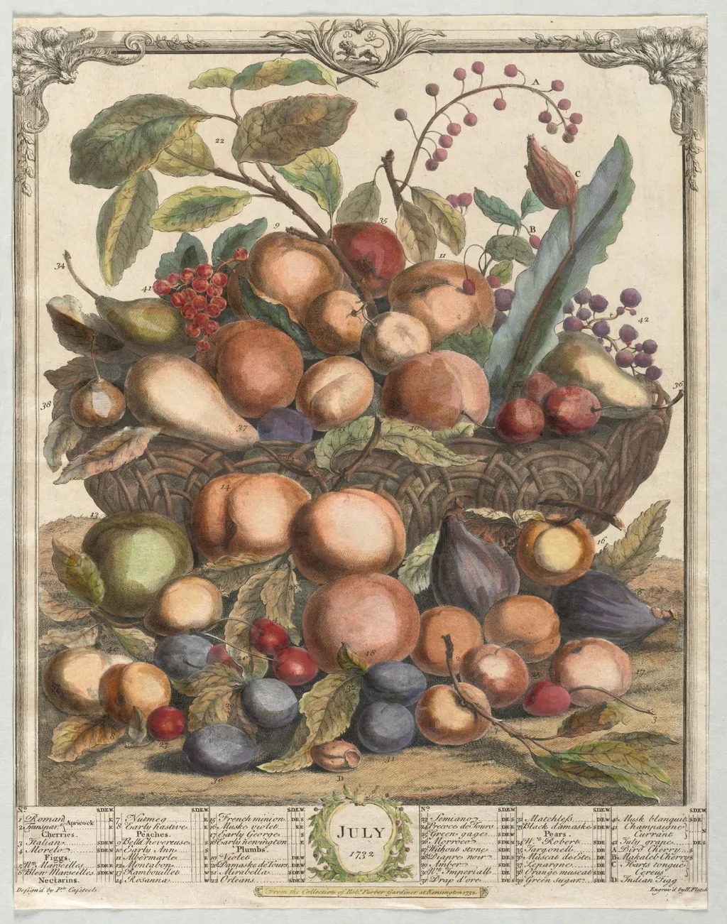 Twelve Months of Fruit: July, by Henry Fletcher, 1732