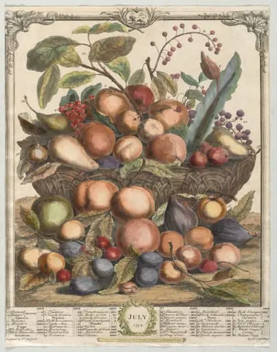 Twelve Months of Fruit: July, by Henry Fletcher