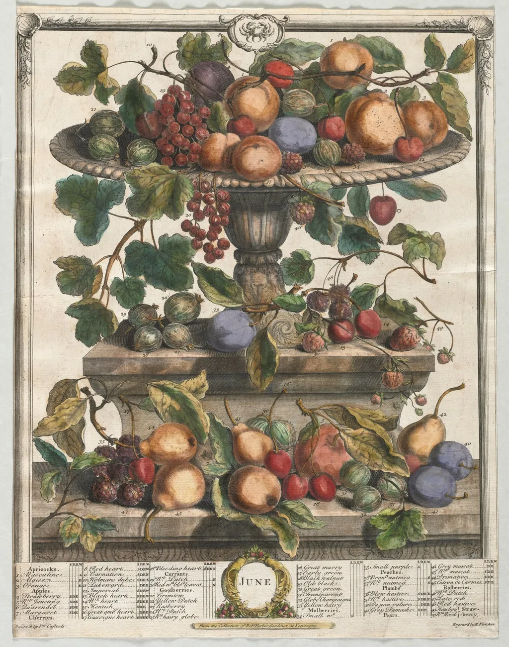 Twelve Months of Fruit: June, by Henry Fletcher, 1732