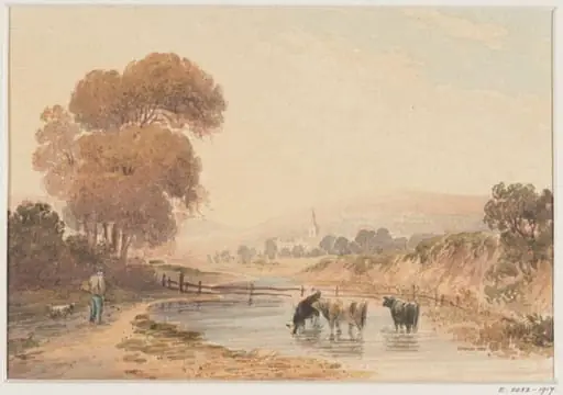 Untitled, by Henry Haseler