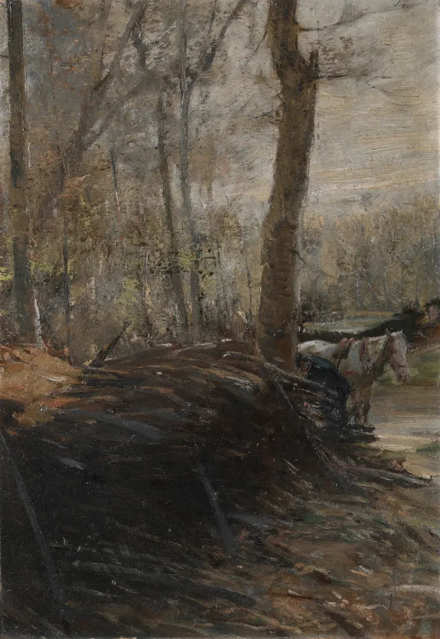 Woods Scene