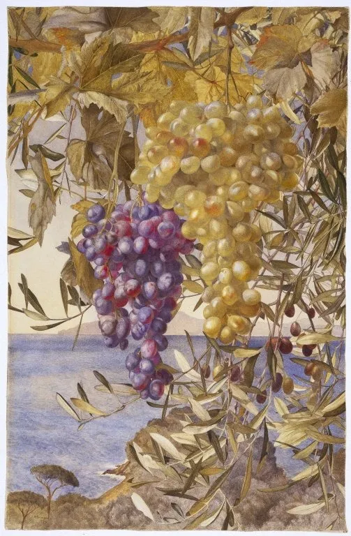 Grapes and Olives, by Henry Roderick Newman, watercolor, 1890