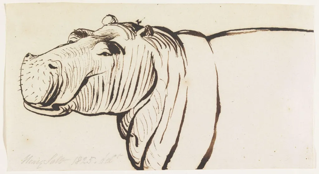 Studies of a Hippopotamus, one head and shoulders and two heads, by Henry Salt, 1825