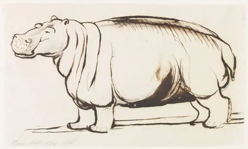 Study of a Hippopotamus, full length, by Henry Salt