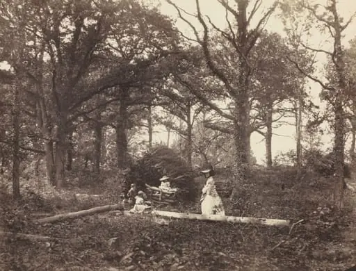 Landscape, by Henry White