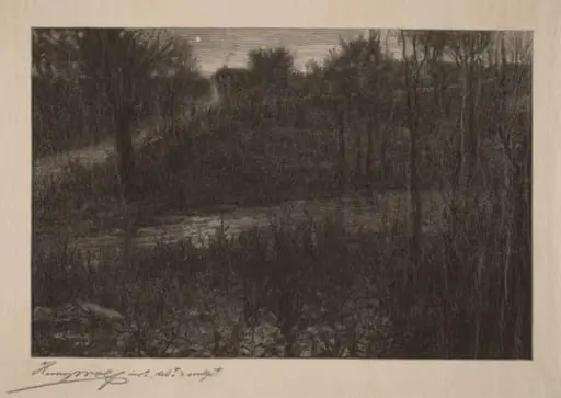 The Evening Star, by Henry Wolf