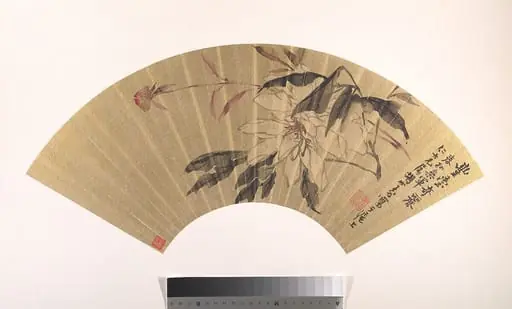清  胡遠  芍藥  扇面|Herbaceous Peony