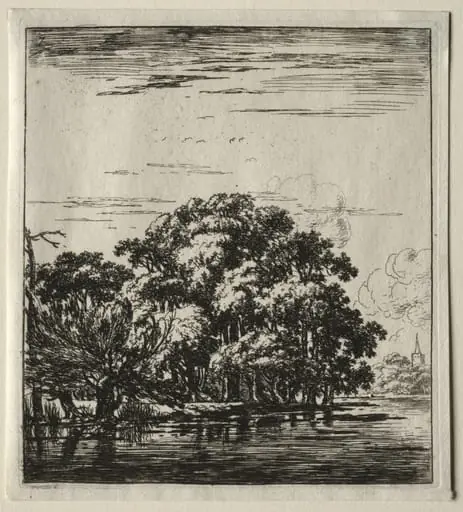 Le bois au bord de la rivière, by Herman Naiwinx