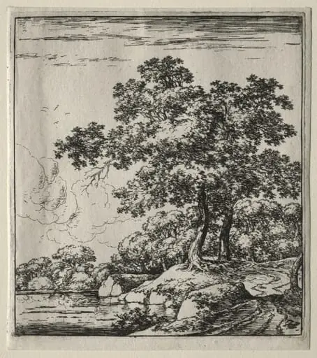 Les deux grands arbres près de la rivière, by Herman Naiwinx