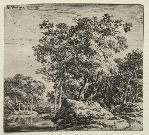 The Hill with the Two Large Trees, by Herman Naiwinx