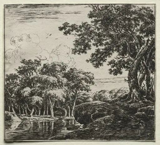 The Three Large Trees, by Herman Naiwinx