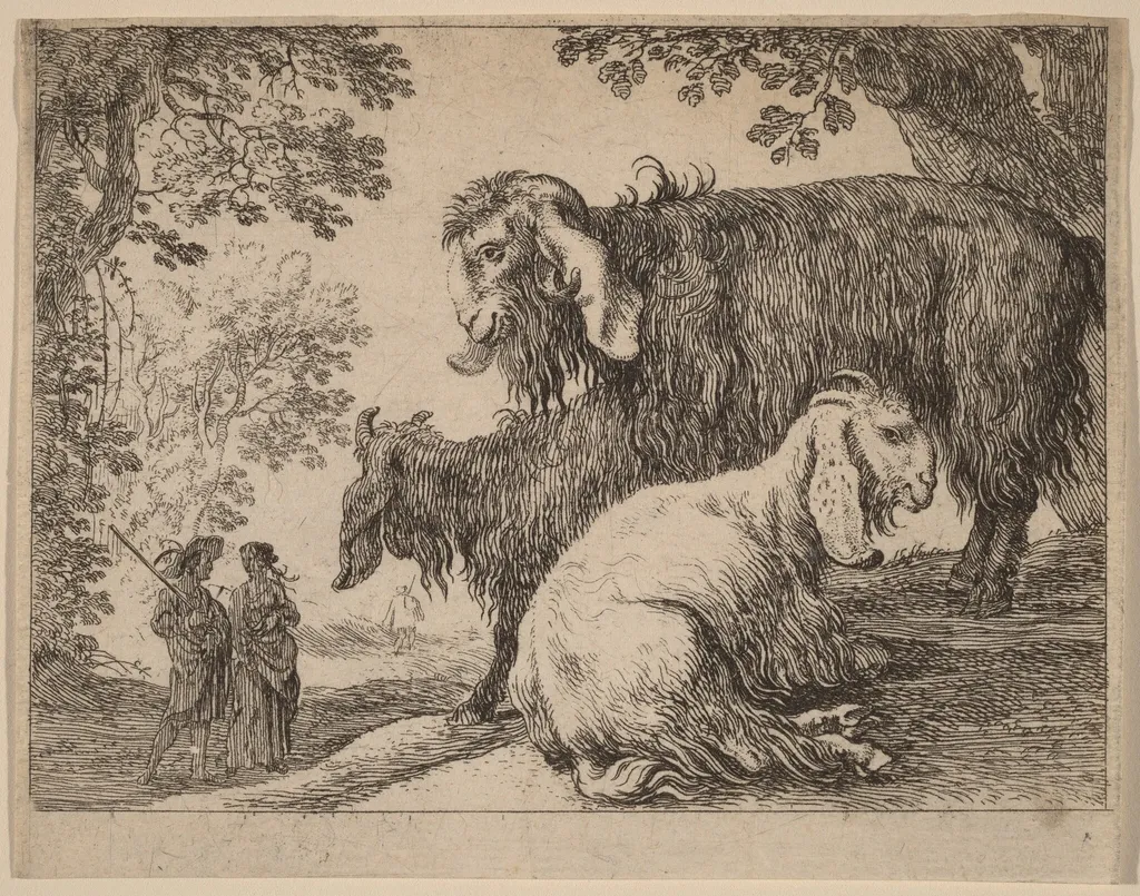 Angora Sheep, by Herman van Swanevelt, ink, 1628