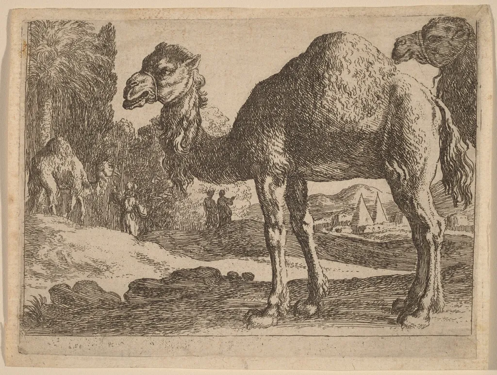 Camels, by Herman van Swanevelt, ink, 1628