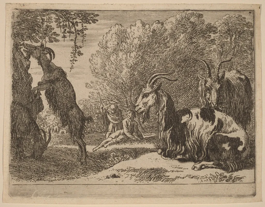 Goats, by Herman van Swanevelt, ink, 1628