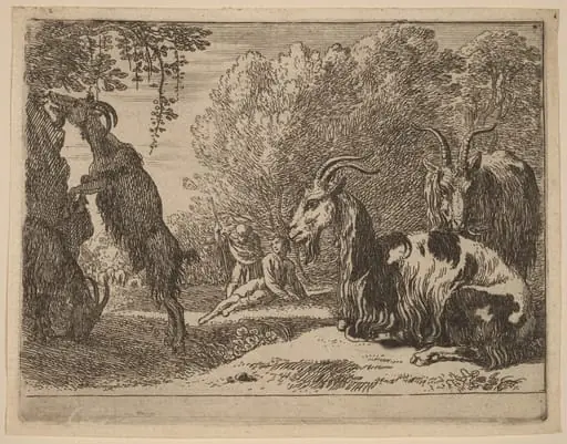 Goats, by Herman van Swanevelt