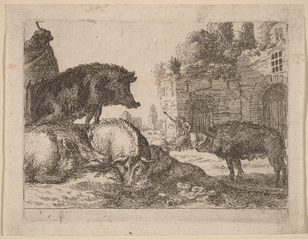 Pigs, by Herman van Swanevelt, ink, 1628