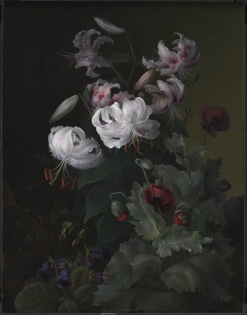 Blomstrende planter, by Hermania Neergaard