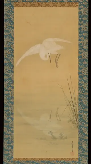 Heron