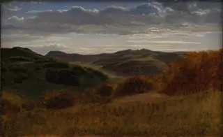 Hills behind the Møen Cliff