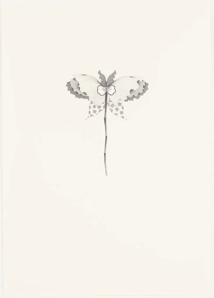 Untitled, by Hiroe Saeki, graphite, 2004