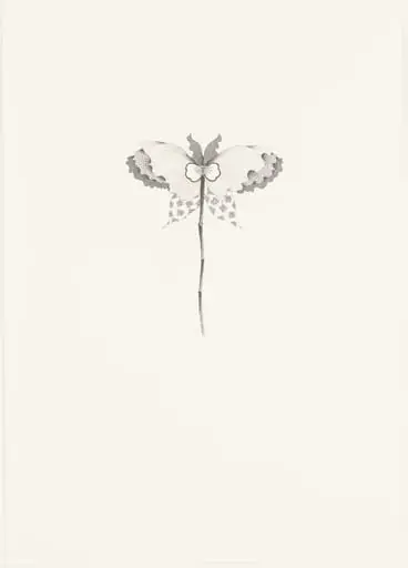 Untitled, by Hiroe Saeki