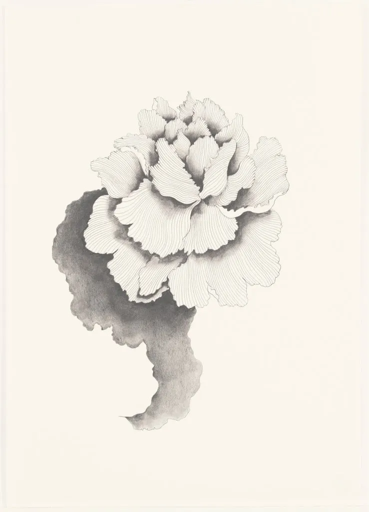 Untitled, by Hiroe Saeki, graphite, 2003