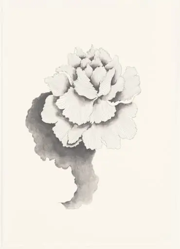 Untitled, by Hiroe Saeki