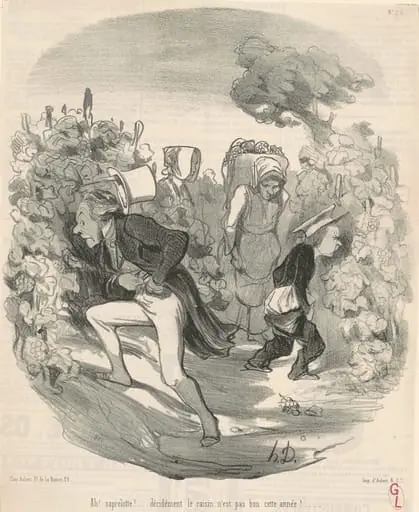 Ah! Saperlotte! ... Le raisin n'est pas bon cette année! ..., by Honoré Daumier