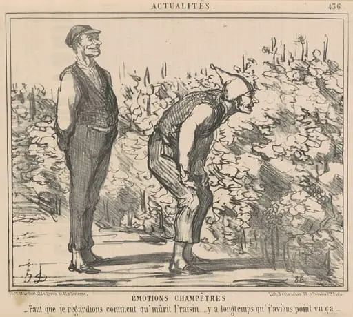 Faut que je egardions comment qu'murit l'raisin ..., by Honoré Daumier