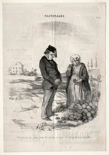 How strange.... I had planted potatoes, and here I am harvesting truffles!, by Honoré Daumier