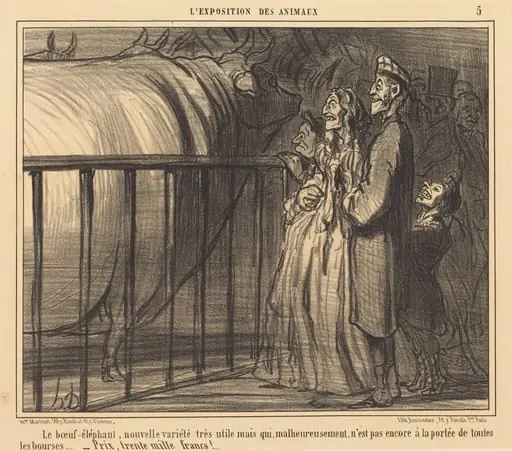 Le Boeuf-éléphant nouvelle variété, by Honoré Daumier