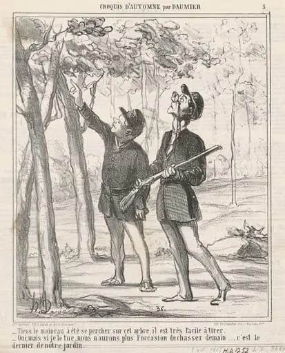 Tiens, le moineau a été sepercher, by Honoré Daumier