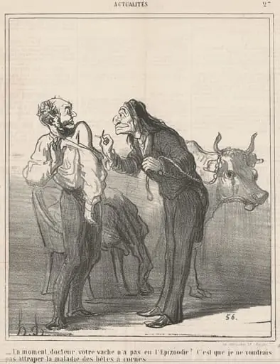 Un moment ... votre vache n'a pas eu l'epizoodie? ..., by Honoré Daumier