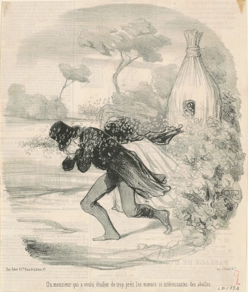 Un monsieur qui voulu étudier ... les moeurs ... des abeilles, by Honoré Daumier, ink, 1845