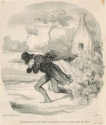 Un monsieur qui voulu étudier ... les moeurs ... des abeilles, by Honoré Daumier