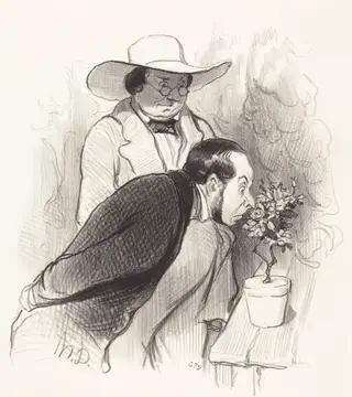 Un Triomphe de botaniste, by Honoré Daumier, 1844