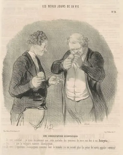 Une consultation scientifique, by Honoré Daumier