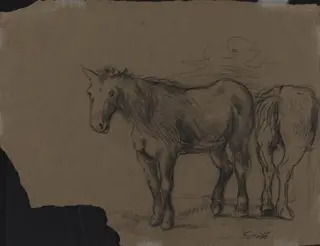 Horses