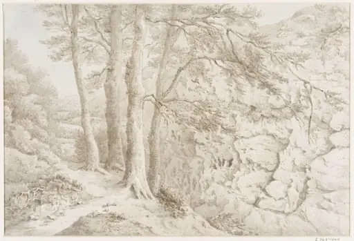 Drawing of a narrow ravine, by Howard