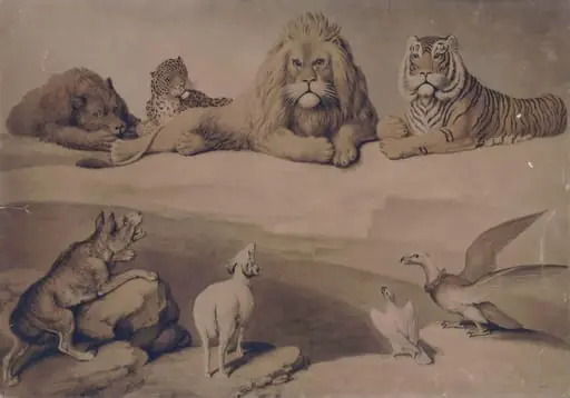 A Council of Animals, by Howitt