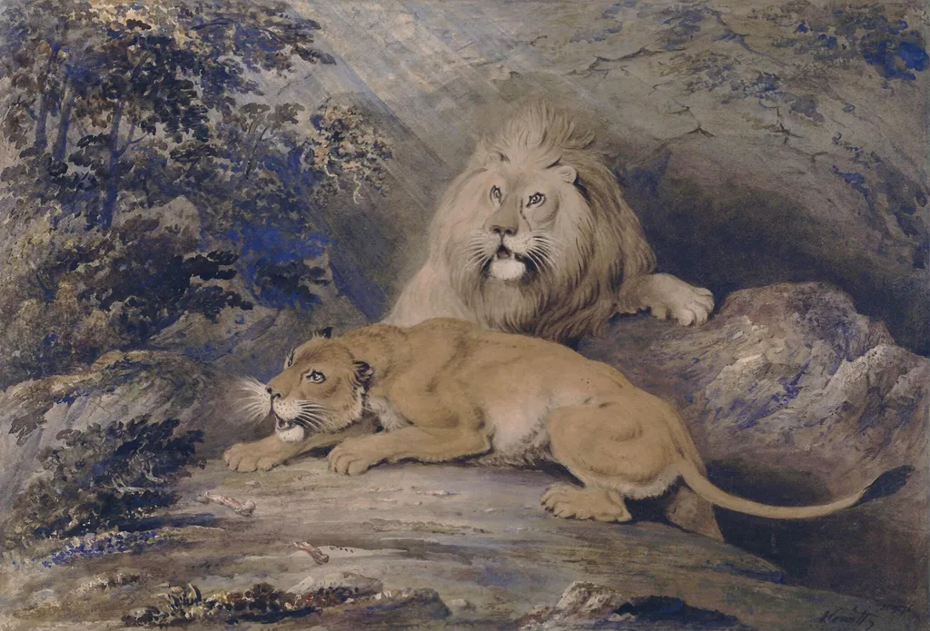Lion and lioness, by Howitt, watercolor, 1785