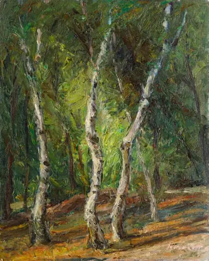 Pădure de mesteacăn, by Hrandt Avakian