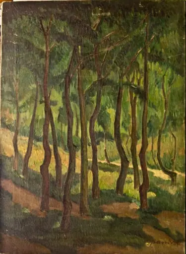 Peisaj cu copaci la Balcic, by Hrandt Avakian