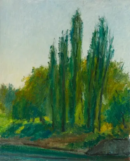 Plopi. Peisaj din Armenia, by Hrandt Avakian