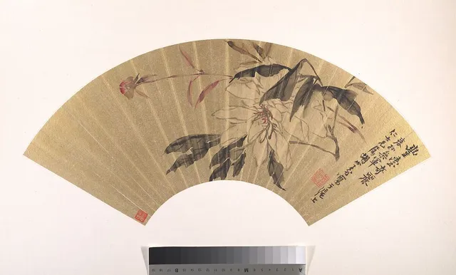 清 胡遠 芍藥 扇面|Herbaceous Peony