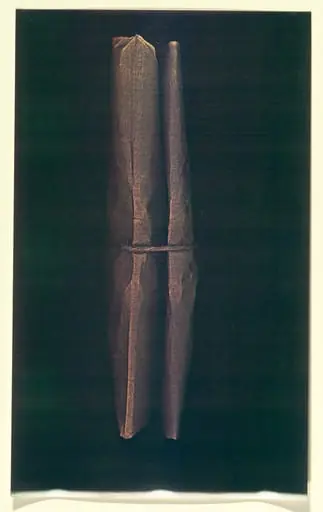 Untitled, by Huguette Franco