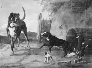 Hundescene